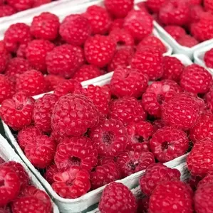 29237-raspberries