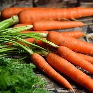 35854-carrots-2387394_960_720