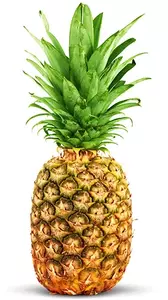 29695-6-ananas